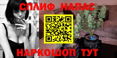 молекула духа Усть-Джегута