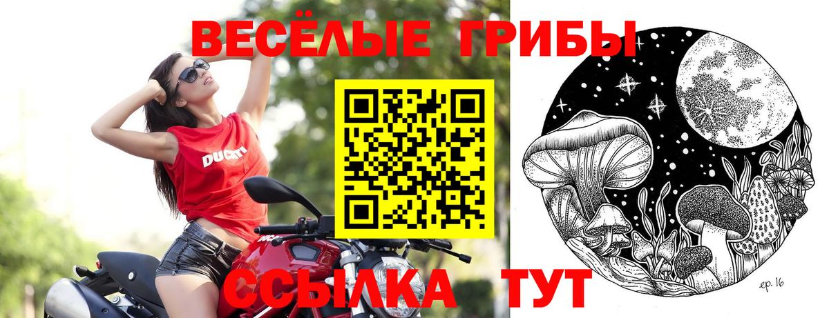 Борзя  Псилоцибиновые грибы Psilocybe  Вход с VPN 